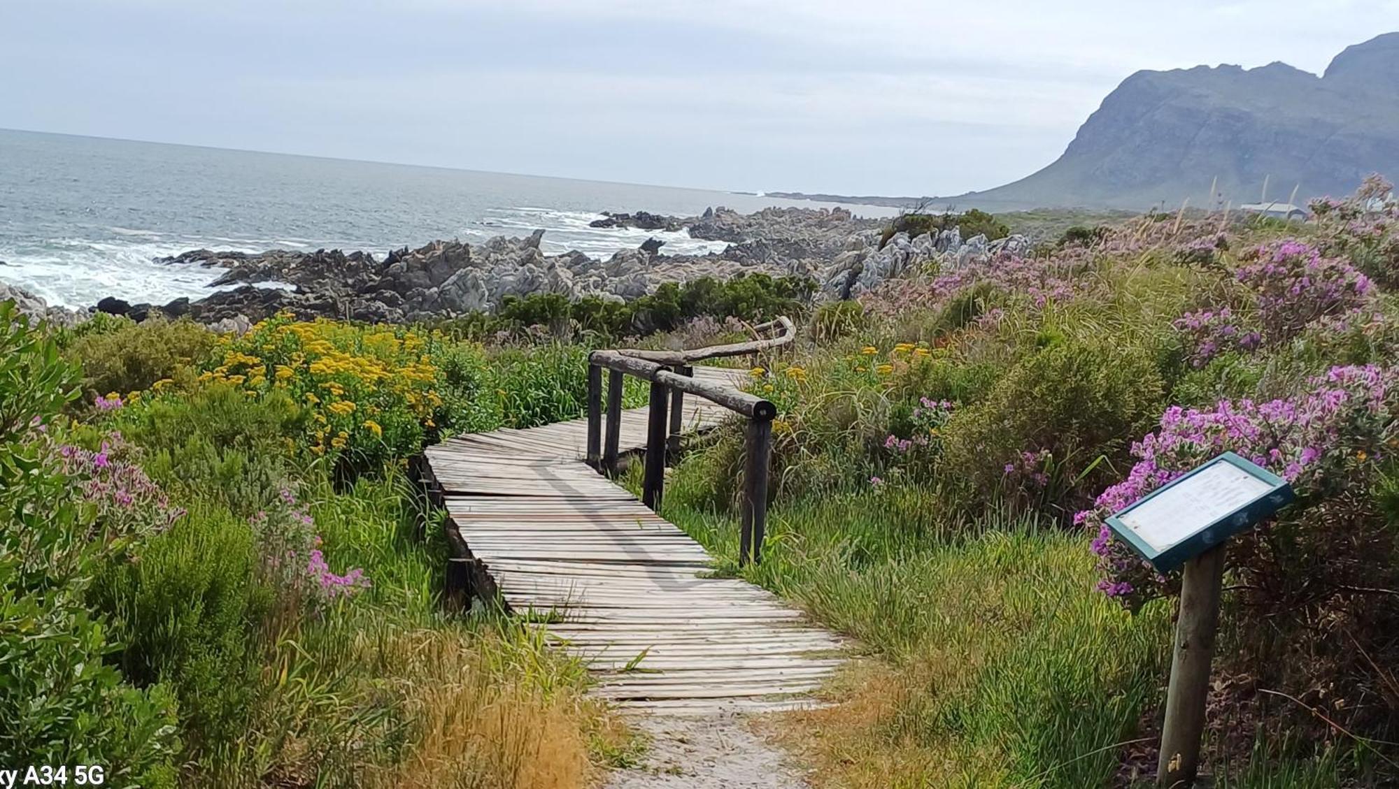 Kleinmond Panorama Holidays Exterior foto